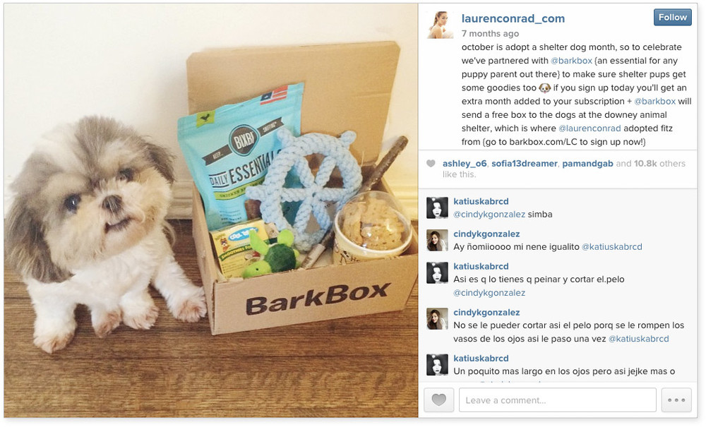 lauren conrad x barkbox campaign promo for adopt a shelter dog month