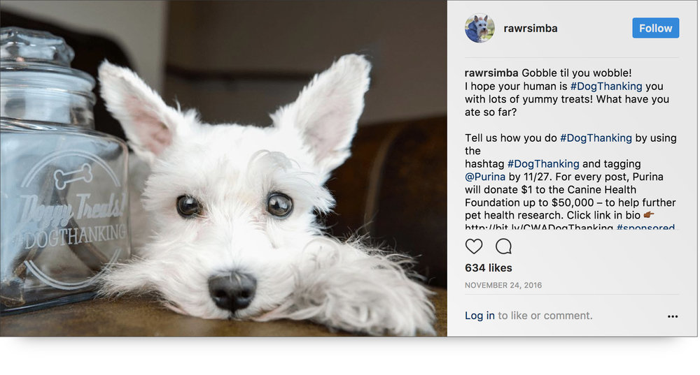 thanksgiving influencer marketing campaign - rawrsimba x purina