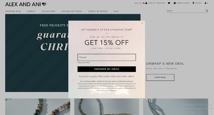 Screengrab of Alex and Ani website.