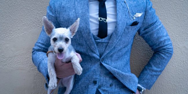 pic of man in blue suit holding a small white dog