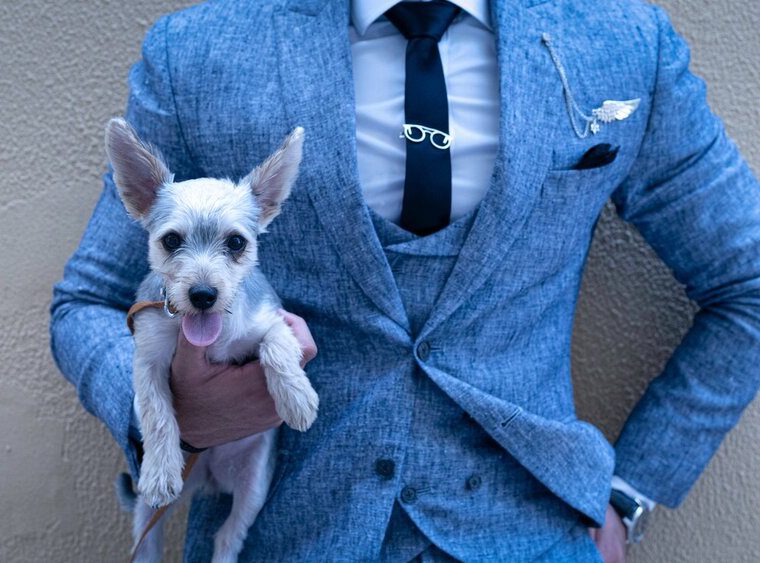 pic of man in blue suit holding a small white dog