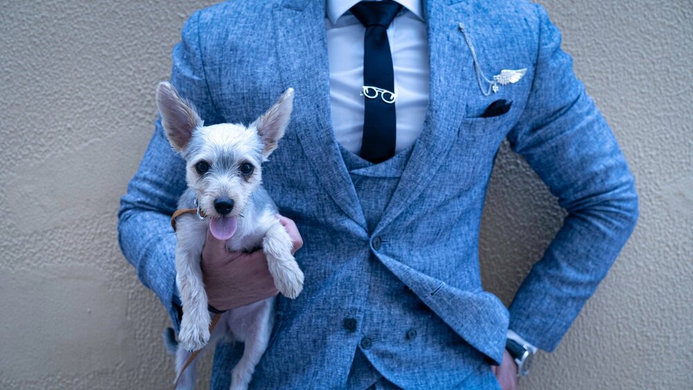 pic of man in blue suit holding a small white dog