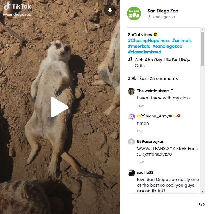 Screenshot of a video from San Diego Zoo on Tik-tok.