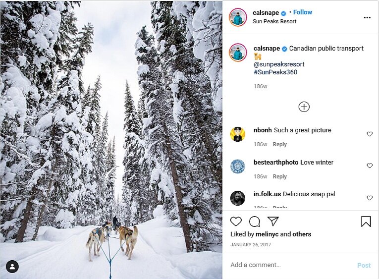 Pin on influencers snow