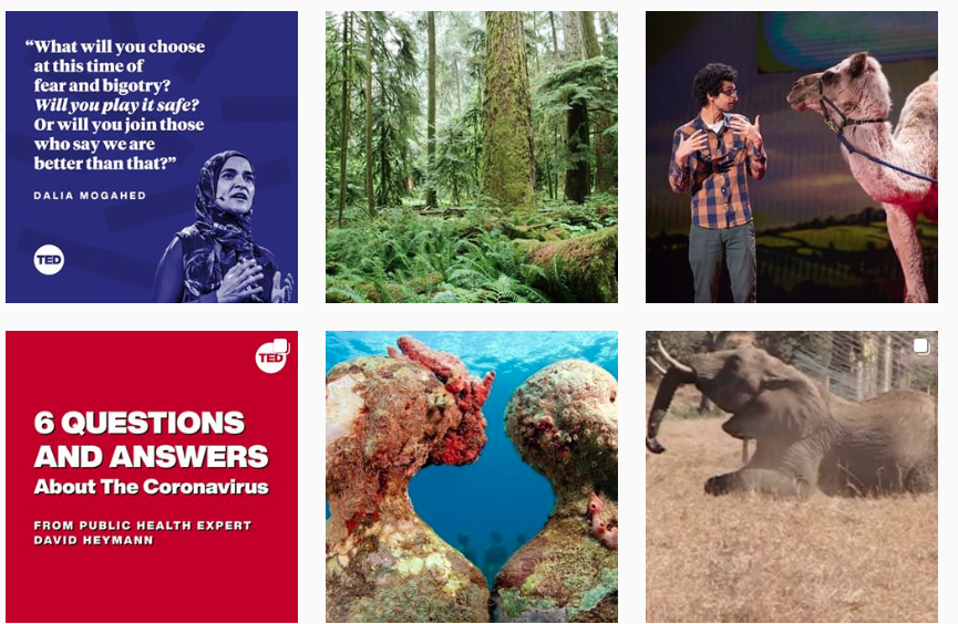 screengrab of @ted Instagram grid