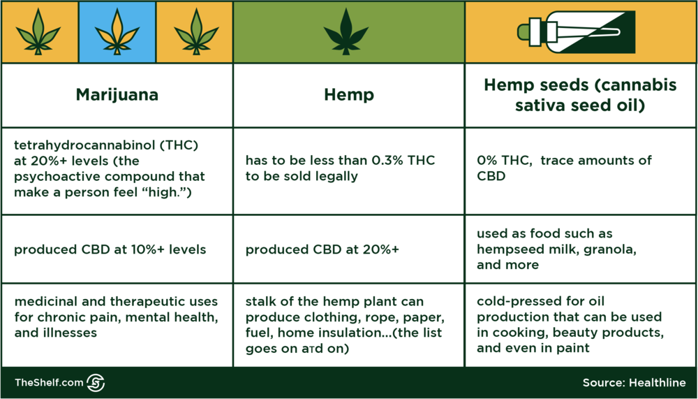 Infographic image comparing Marijuana, Hemp and Hemp seeds from Healthline

