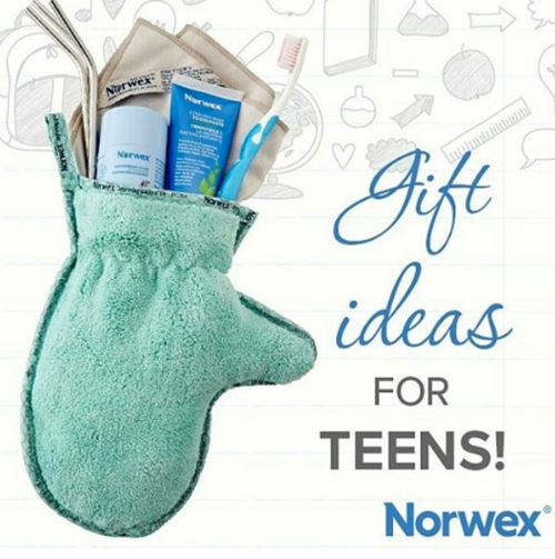 Norwex cleaning kit and mit for teens