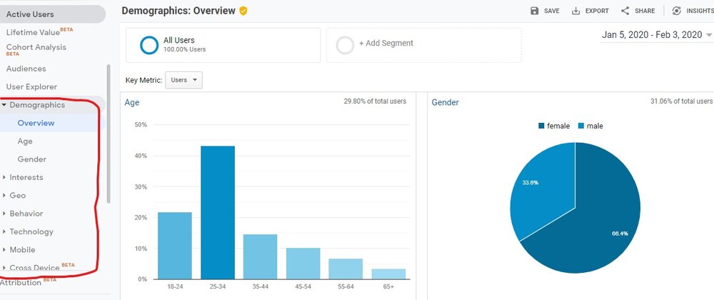  Screenshot of "Demographic: Overview" with a pie-chart