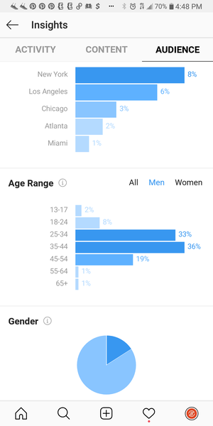 Screenshot of Analytical data from Instagram