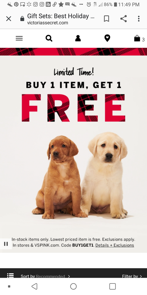 screenshot of 2 dogs promoting sale at Victoria's Secret