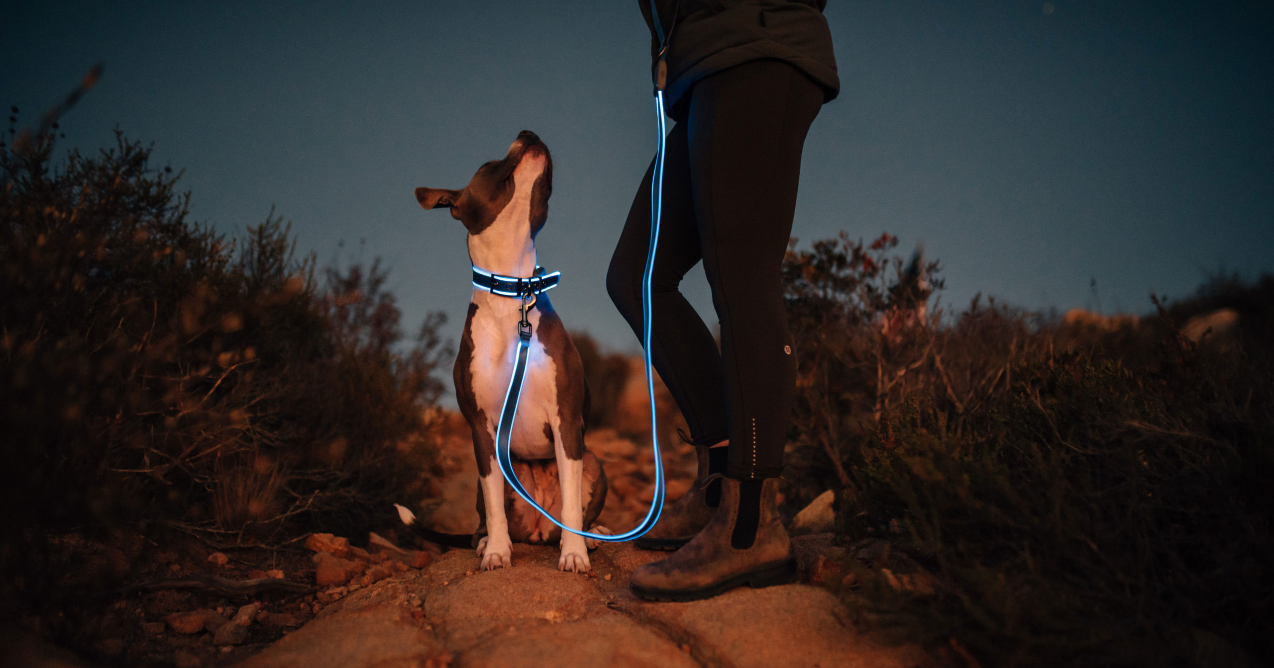 Nite Ize • The Shelf, a Data-First Influencer Marketing Company