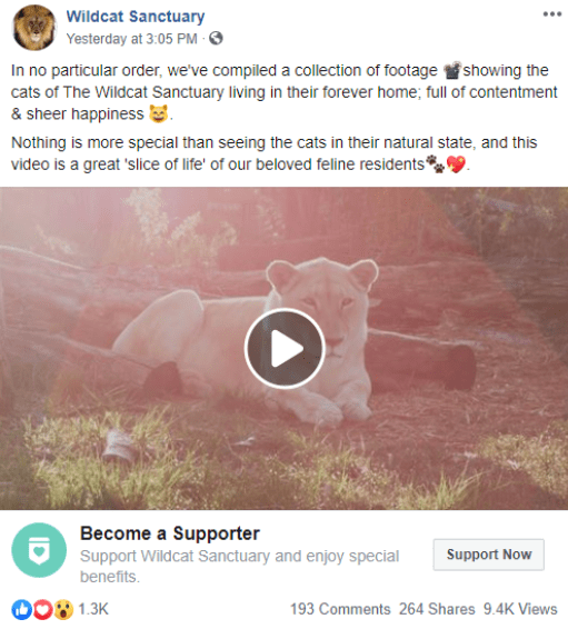 Wildcat sanctuary on Facebook - social media for nonprofits
