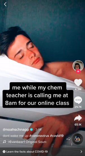 Sleeping Carousel Image 1 - TikToker Noah Schnapp chem class call