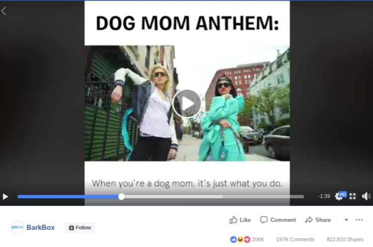 Screenshot of a video post by Dog Mom Anthem on Facebook.