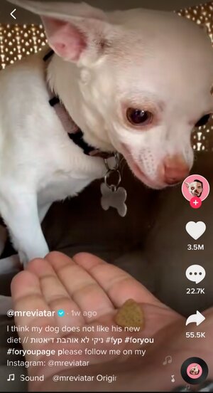 Dog Diet Carousel Image 1 -  @mreviatar TikTok Challenge