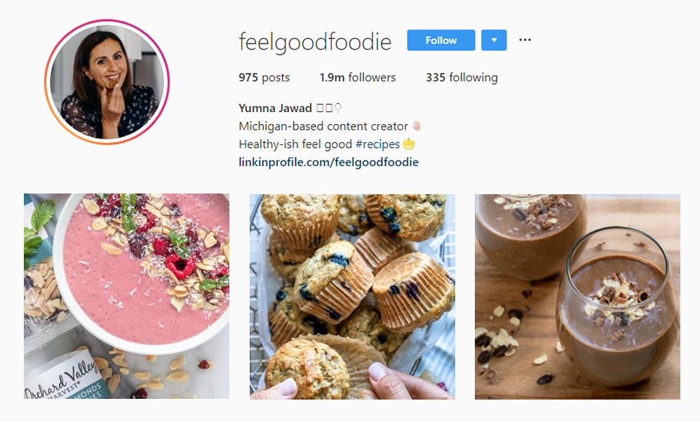 Screenshot of @FEELGOODFOODIE handle on Instagram.
