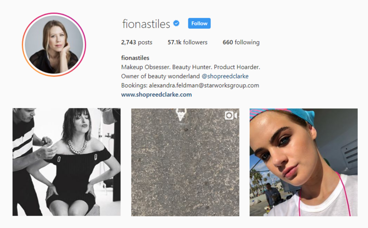 screenshot of Instagram profile for MUA @fionastiles