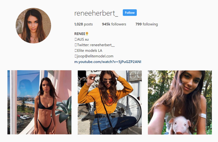 screenshot of Instragram profile of Australian influencer @RENEEHERBET_