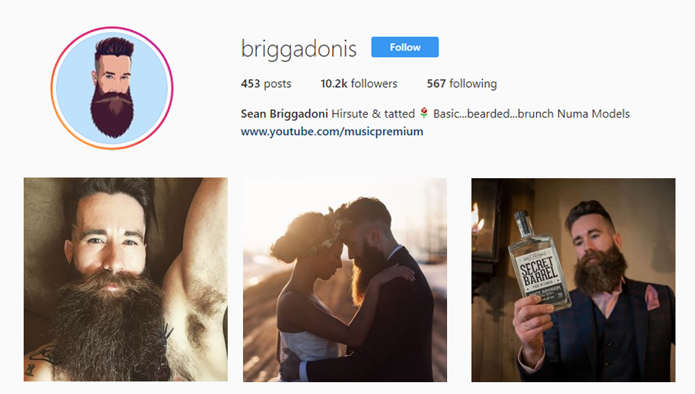 screenshot of the Instagram profile of @briggadonis - Alberta