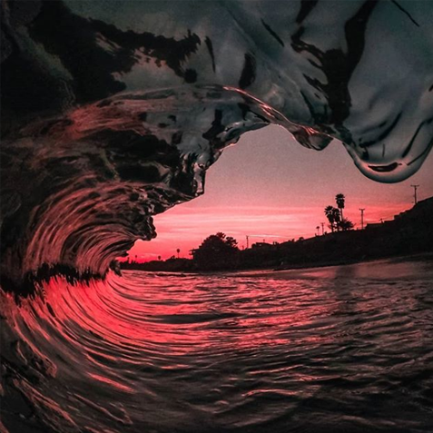 Beautiful photography from the Instagram feed of @julianradwildlife
