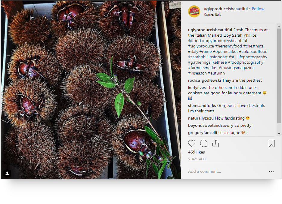 Screenshot of @FOOD handle on Instagram.