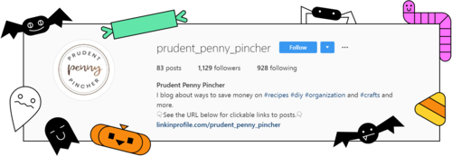 A screenshot of the description of @prudentpennypincher profile on Instagram.
