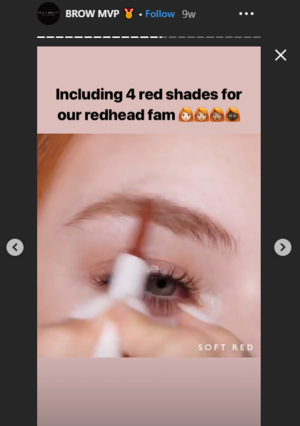 A slideshow of screenshot of posts from Brow MVP and Concealer.